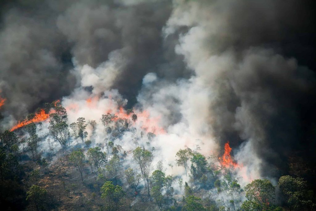 Amazônia enfrenta incêndios e conflitos agrários mesmo com queda no