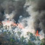 Amazônia enfrenta incêndios e conflitos agrários mesmo com queda no