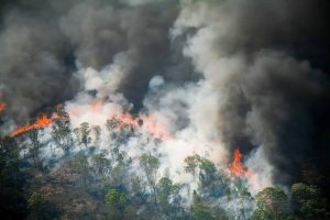 Amazônia enfrenta incêndios e conflitos agrários mesmo com queda no