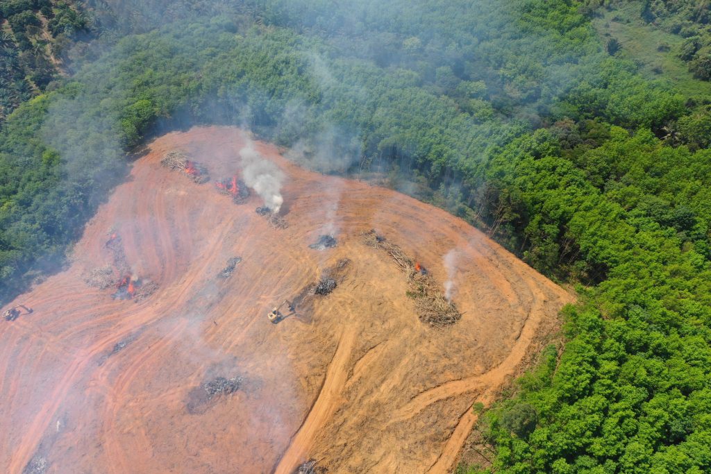 Amazônia vive crise ambiental grave em plena COP30