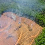 Amazônia vive crise ambiental grave em plena COP30