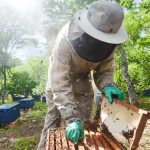 BNB amplia concessão de crédito no Maranhão e movimenta mais