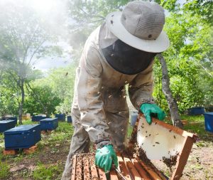 BNB amplia concessão de crédito no Maranhão e movimenta mais