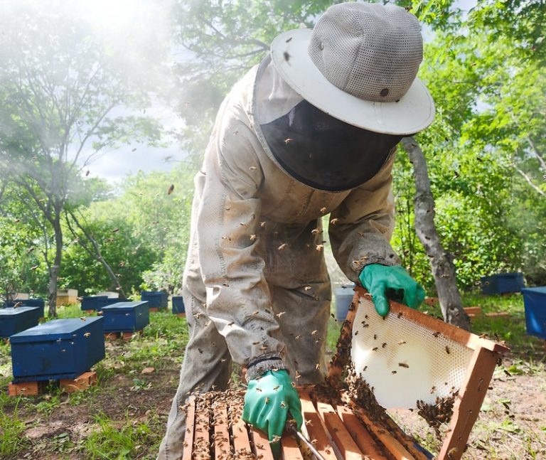 BNB amplia concessão de crédito no Maranhão e movimenta mais