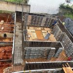 Bunker nuclear no Paraná abriga máquina inédita de radioterapia