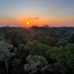 COP30: Fundo Florestas Tropicais para Sempre alcança US$ 5,5 bilhões