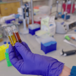 Cientistas criam pigmento poderoso por trás da camuflagem dos polvos