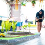 Fenafes e FEMAF encerram neste sábado com serviços, capacitações e