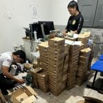 Forças de segurança apreendem mais de 15 mil munições em