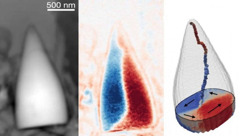 Fósseis de milhões de anos de uma criatura desconhecida tem