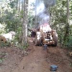 Funai alerta que 297 terras indígenas são ameaçadas com derrubada