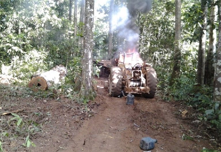 Funai alerta que 297 terras indígenas são ameaçadas com derrubada