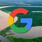 Google fecha ‘acordo verde’ com startup brasileira para reflorestar a