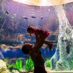 Grupo Cataratas inaugura AquaFoz na Tríplice Fronteira