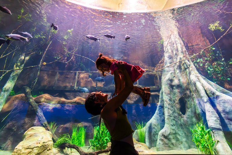 Grupo Cataratas inaugura AquaFoz na Tríplice Fronteira