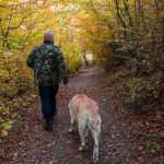 Humanos e cães já exploravam cavernas juntos há 14.400 anos,