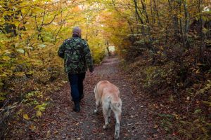 Humanos e cães já exploravam cavernas juntos há 14.400 anos,