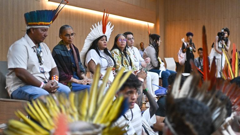 Indígenas pedem suspensão de projetos de infraestrutura na Amazônia