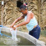 Iniciativa de Arari leva experiência sustentável à COP30 em Belém