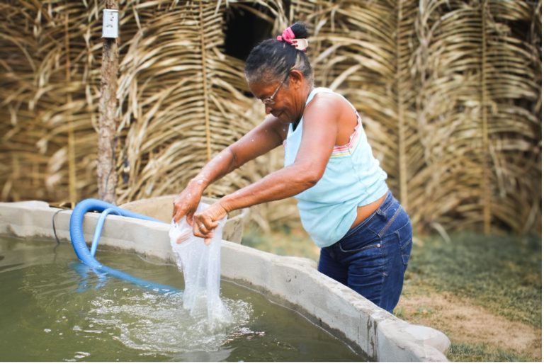Iniciativa de Arari leva experiência sustentável à COP30 em Belém