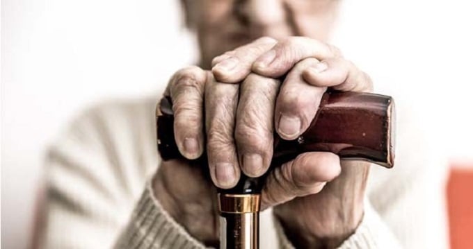 Justiça do Maranhão anuncia medidas para dar mais rapidez a