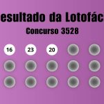 Lotofácil 3528: veja resultado de hoje, sábado (01)