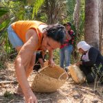 Mulheres quilombolas do Maranhão levam saberes do babaçu à COP30