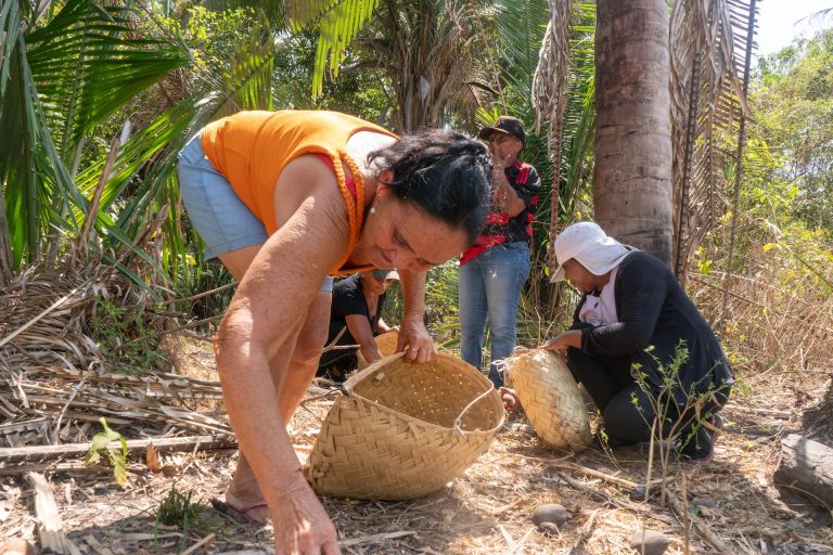 Mulheres quilombolas do Maranhão levam saberes do babaçu à COP30