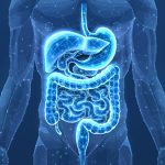 O ácido do estômago derrete ferro ou plástico? Veja o