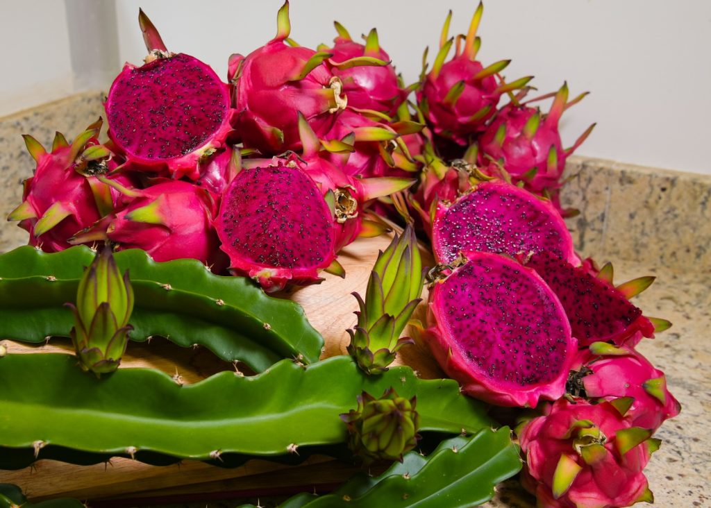 O “ouro rosa” que está conquistando produtores brasileiros