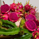 O “ouro rosa” que está conquistando produtores brasileiros