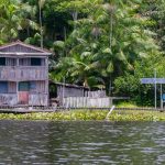 O que é a transição energética, tema central da COP30