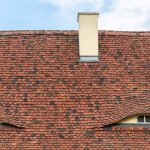 O que é pareidolia? Entenda por que vemos rostos em