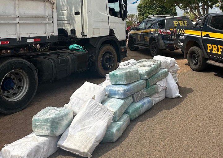 Operação policial apreende quase 1 tonelada de super maconha no