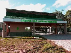 Pesquisa transforma dados de consumo em ações sustentáveis em escolas