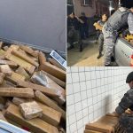 Polícia apreende meia tonelada de maconha em residência na Grande
