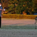 Prender Bolsonaro e nunca esquecer seus crimes na pandemia