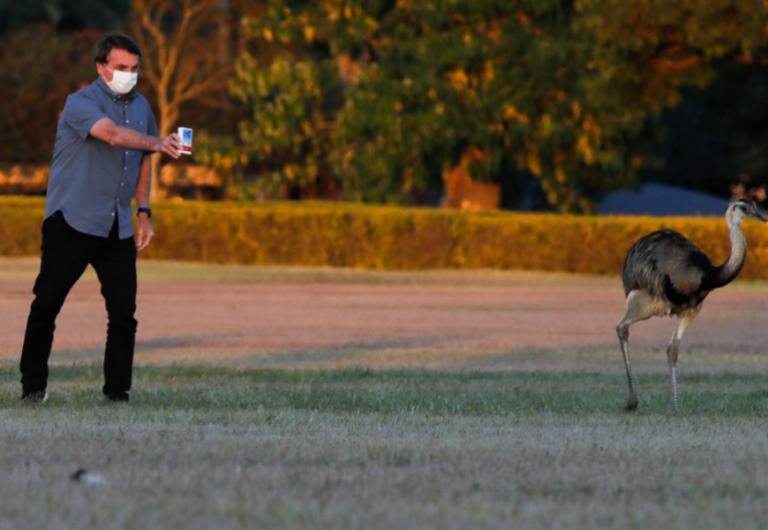 Prender Bolsonaro e nunca esquecer seus crimes na pandemia