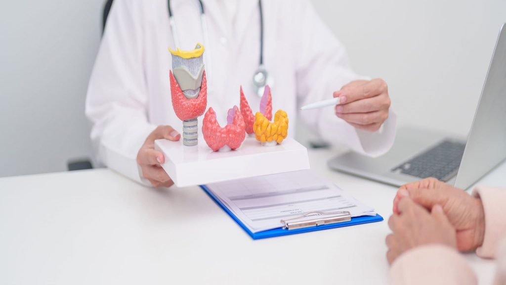 Qual a diferença entre hiper e hipotireoidismo? Conheça causas e