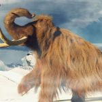 RNA mais antigo do mundo é recuperado de um filhote