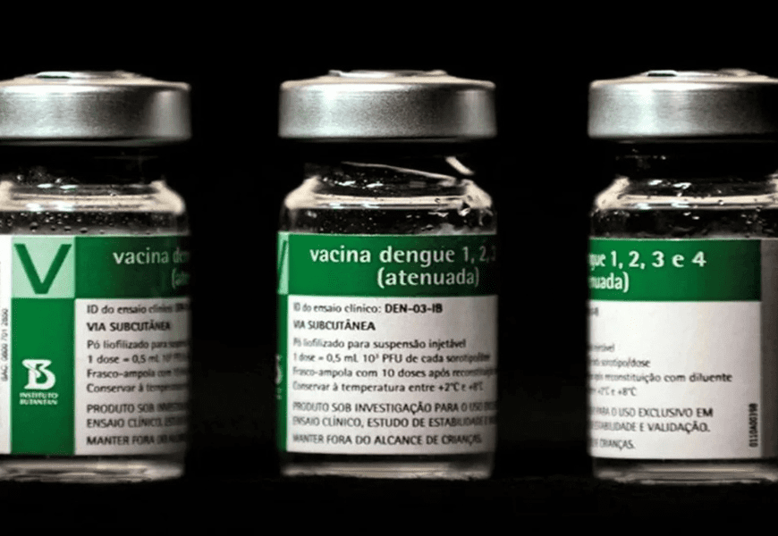 SUS terá vacina brasileira de dose única contra dengue a