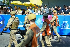 Santa Catarina tem as cidades entre as mais seguras do