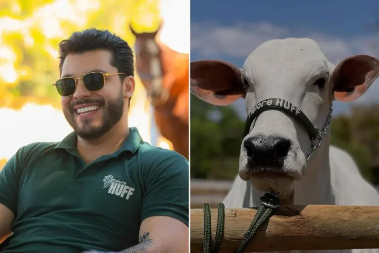 Sertanejo compra 25% de vaca recordista de preço no Brasil
