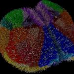 Simulação cerebral permite testar Alzheimer e epilepsia sem tecido real