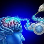 Terapias com células-tronco avançam e revelam novas formas de regenerar