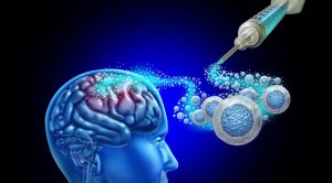 Terapias com células-tronco avançam e revelam novas formas de regenerar