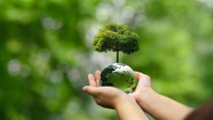 Uma semana para a COP30: Os temas que devem dominar