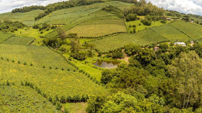 A cidade gaúcha que combina vinho premiado, tradição familiar e