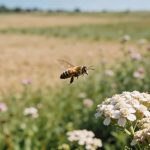 A ciência encontrou um inseto extremamente inteligente que consegue entender