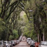 A rua mais bonita do mundo fica no Sul do